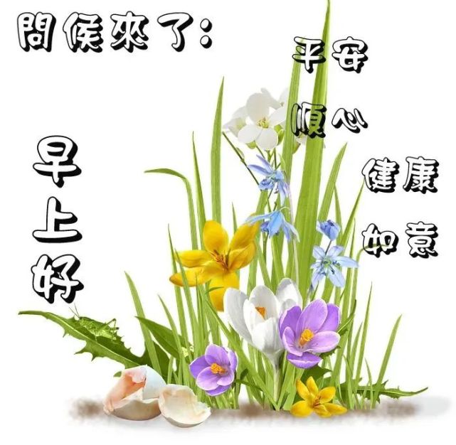 8张非常好看的春天唯美温馨的早安图片带字 2022早上好问候语温馨图片