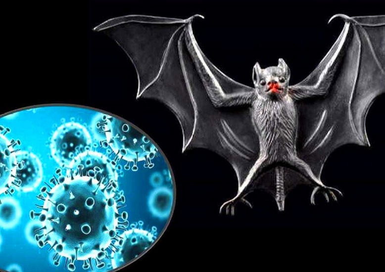 俄罗斯曝光乌克兰实验室做蝙蝠冠状病毒试验工资单显示美国付钱