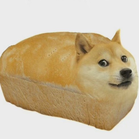 表情包香肠狗勾