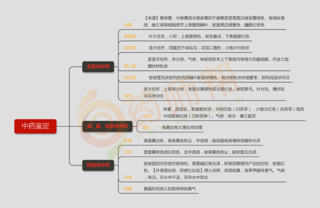 【收藏】中药知识思维导图