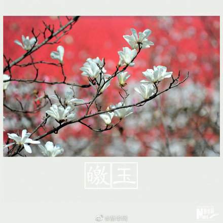 春色告诉你古人有多浪漫 天天看点