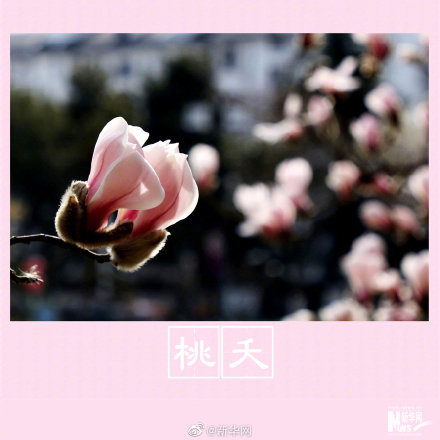 春色告诉你古人有多浪漫 天天看点