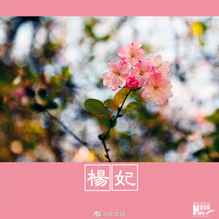 春色告诉你古人有多浪漫 天天看点