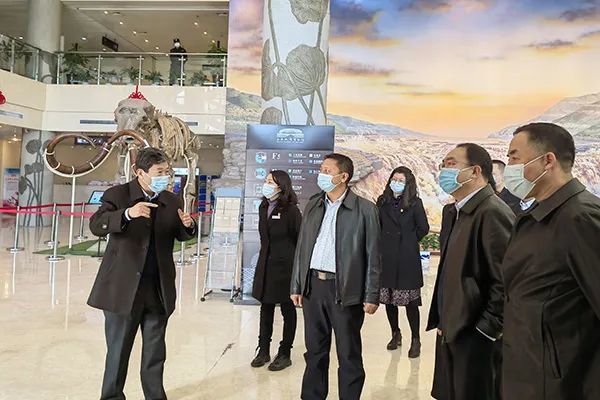 王晓立调研指导山西地质博物馆工作