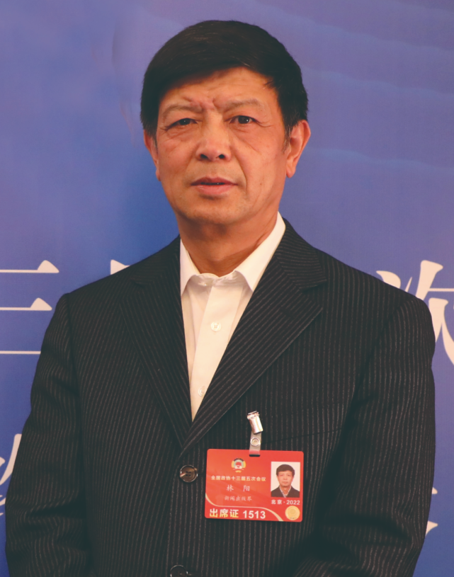 林阳打击线上平台的盗版书销售