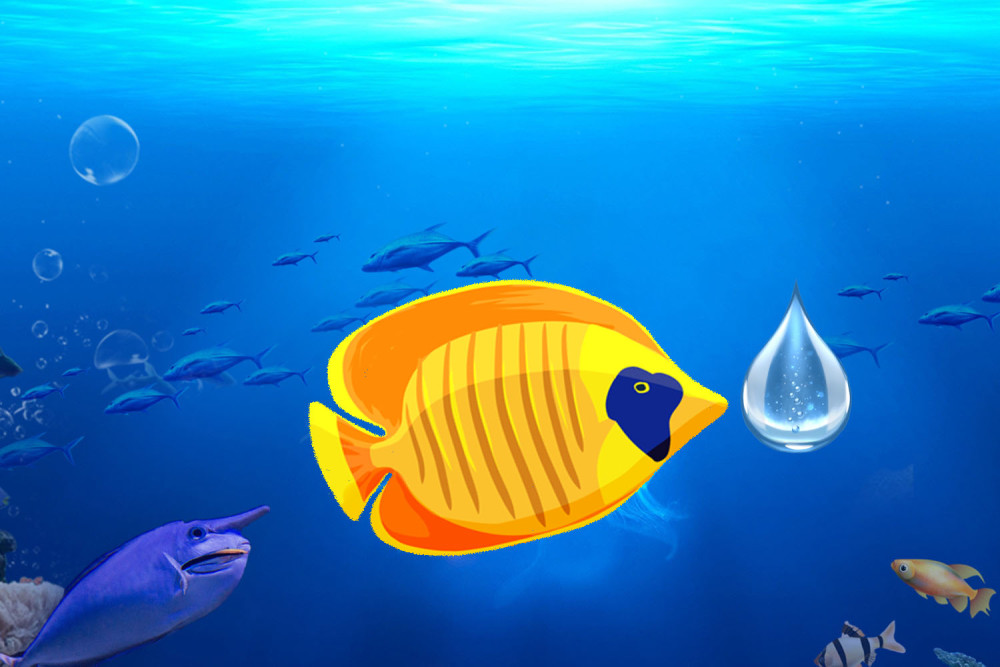 海钓时怎样让鱼口变得更好 用什么促开口 让海鱼开口好的方法 腾讯新闻