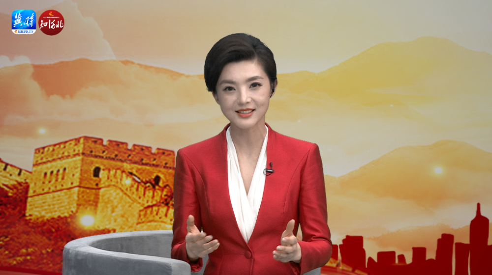 河北广播电视台主持人 刘畅:说到项目,不能不提战略性新兴产业项目.