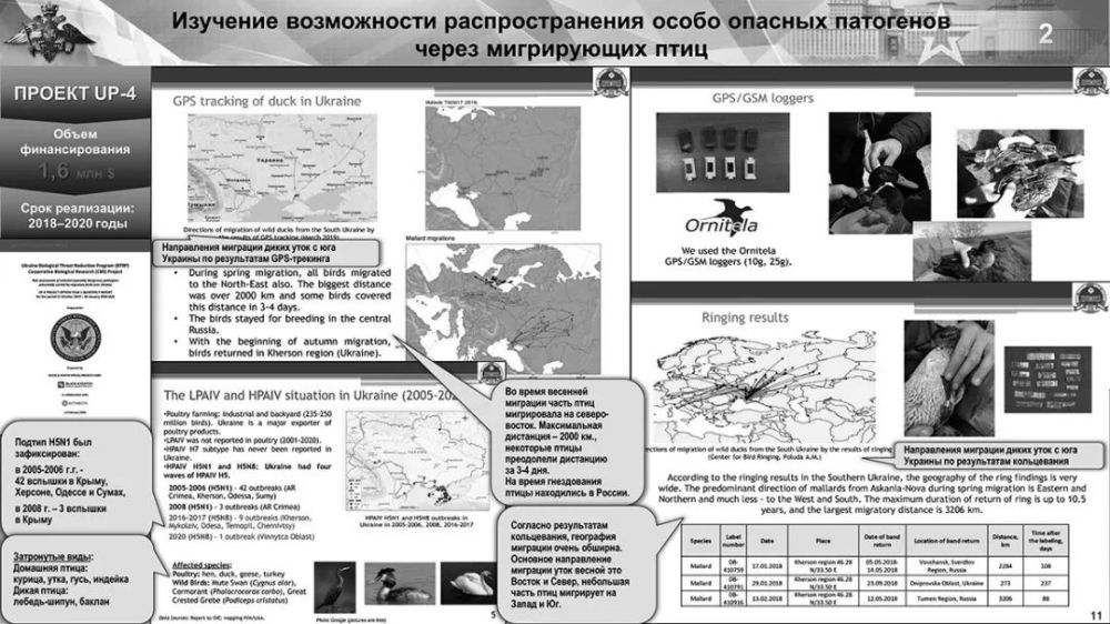 人教版六年级上册电子课本书乌俄连斯基石油生物否认外交部