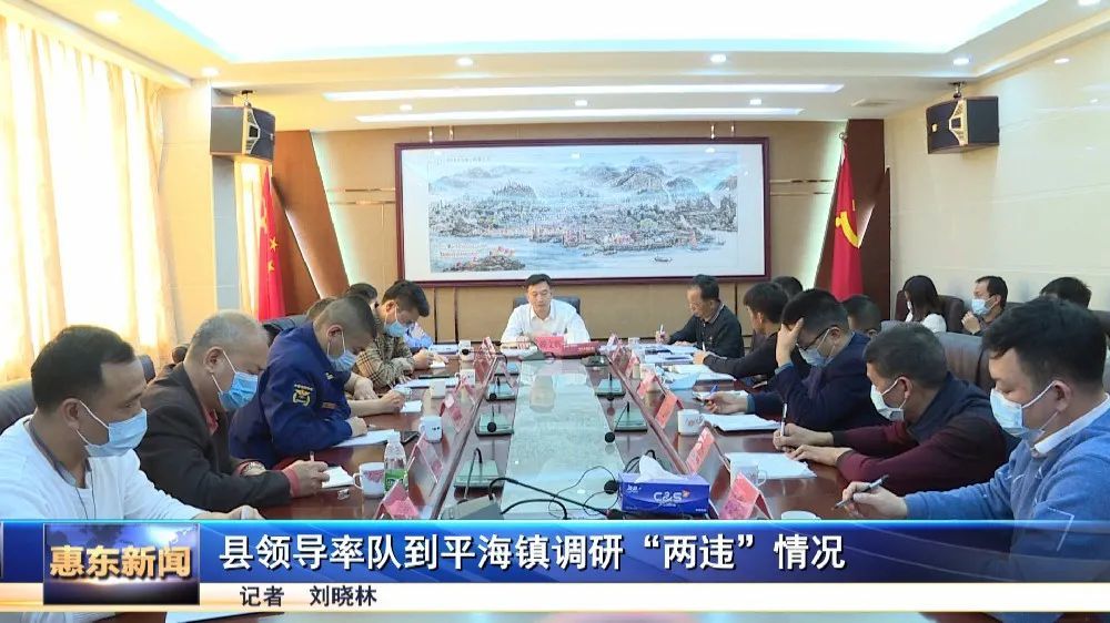 惠东县领导率队到平海镇调研两违情况