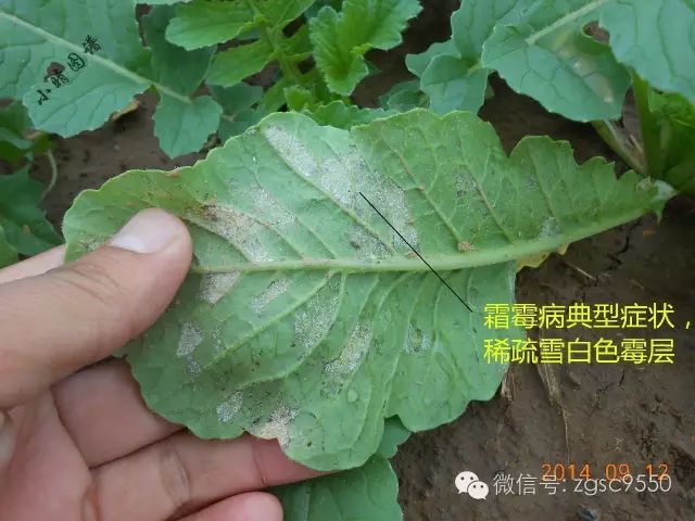 消之宝
