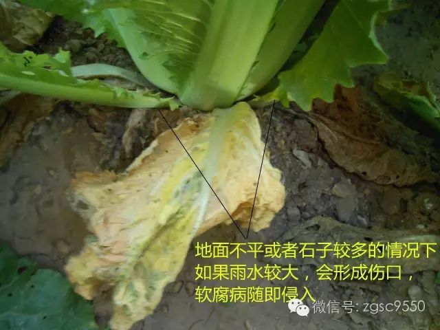 消之宝