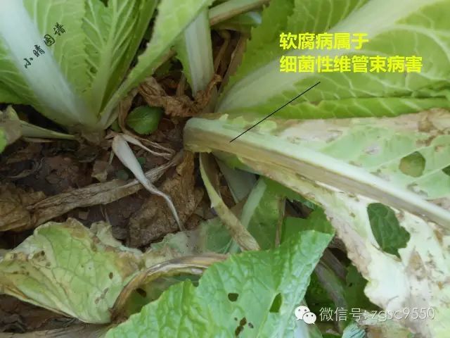 消之宝