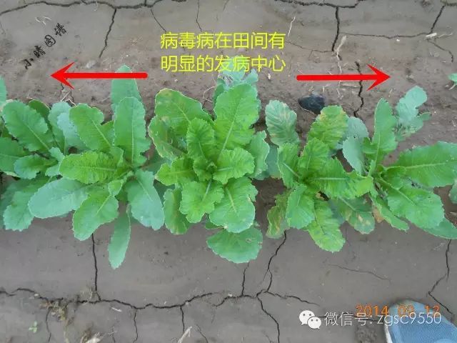 消之宝