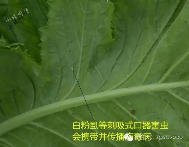 消之宝