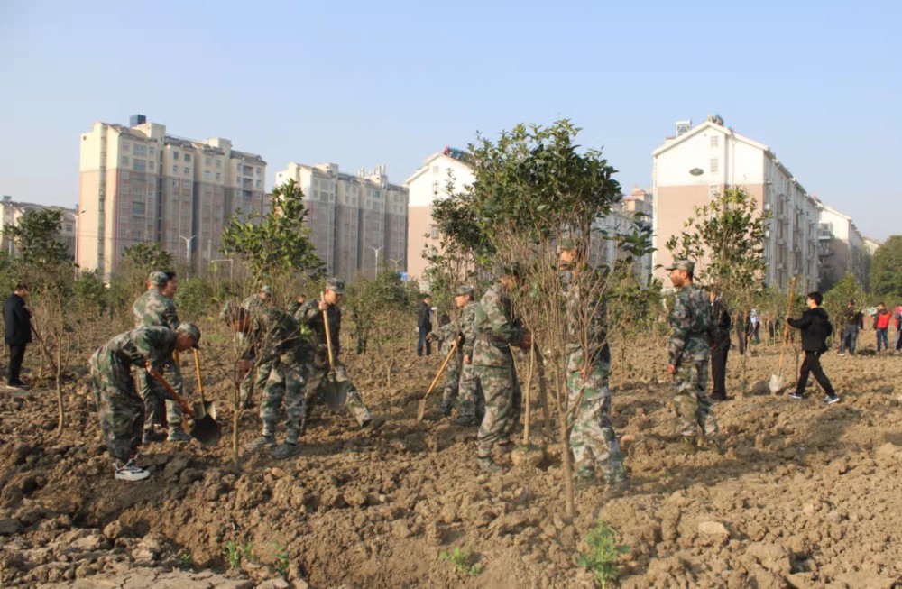 安徽省寿县人武部组织预定新兵参加植树活动600371华冠科技