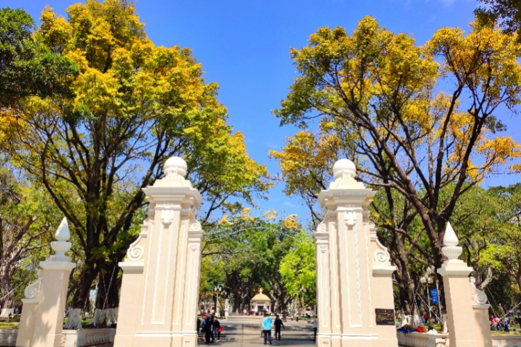 一树一策广州古树名木将纳入网格化管理和考核体系