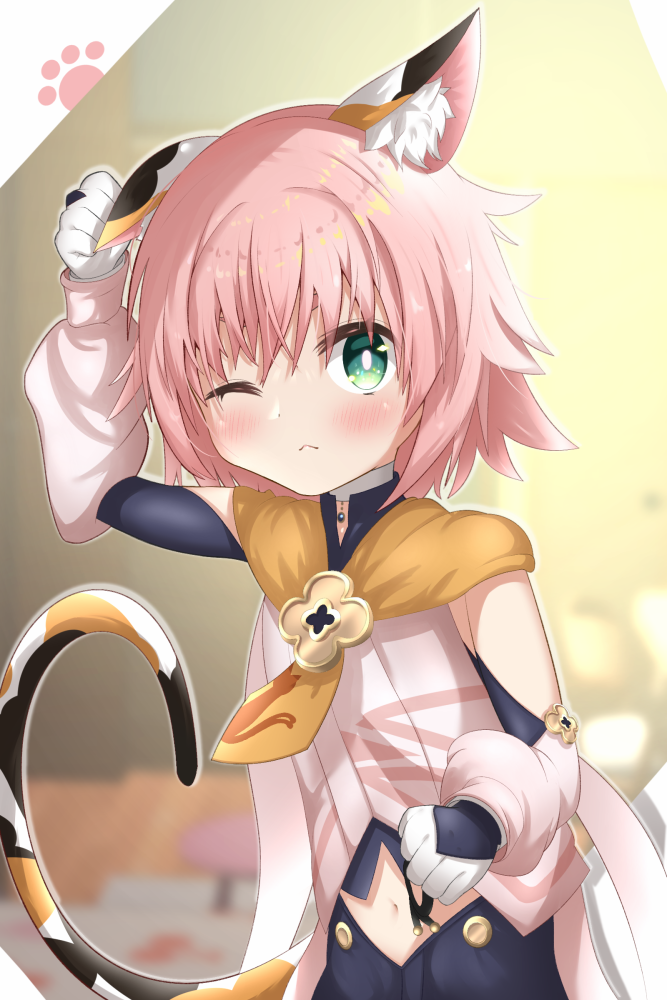 dio娜迪奥娜如培养可爱的小猫猫