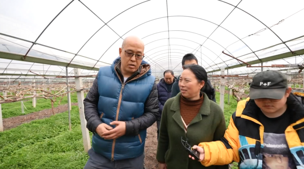 在了解情况之后,为了帮助杨金全解决阳光玫瑰葡萄的贮藏问题,同时消除