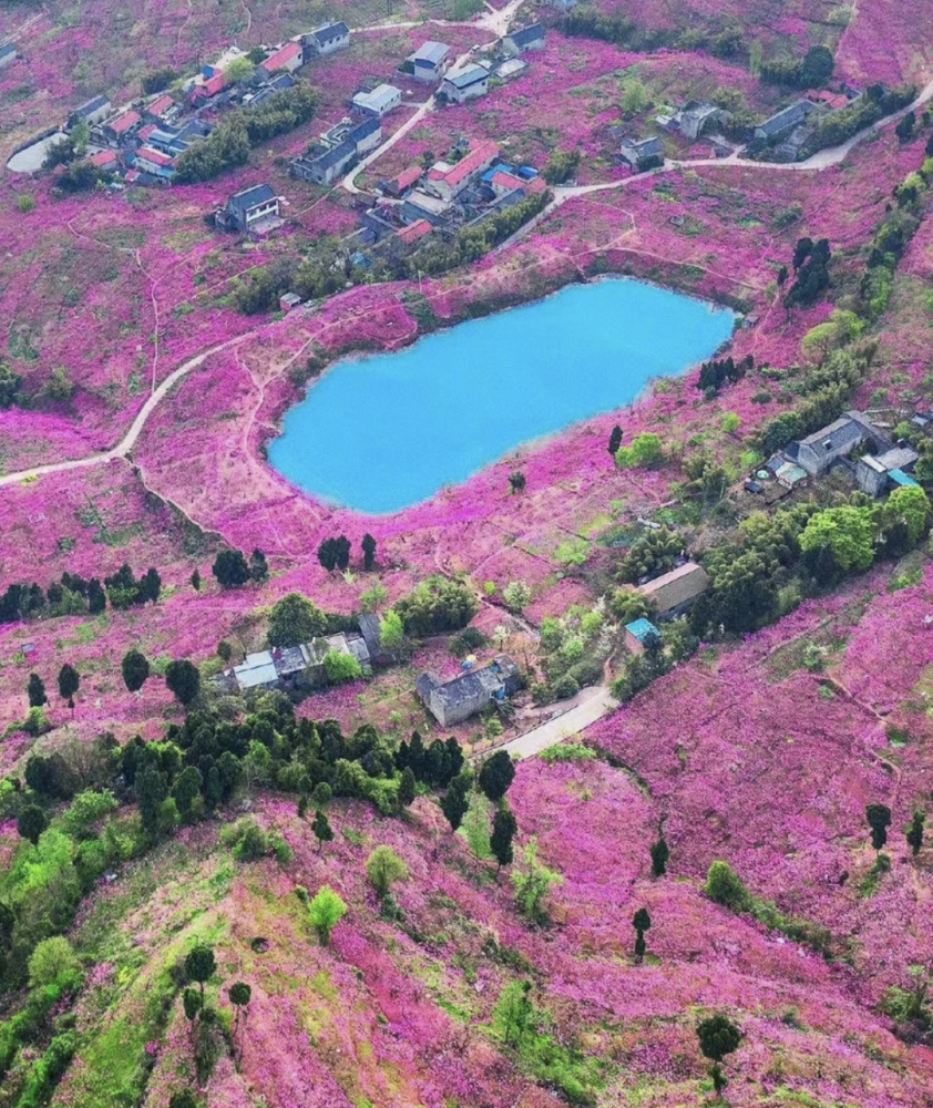 這裡其實離桃花故里不遠,2km左右,導航搜索「大佛村」即可.