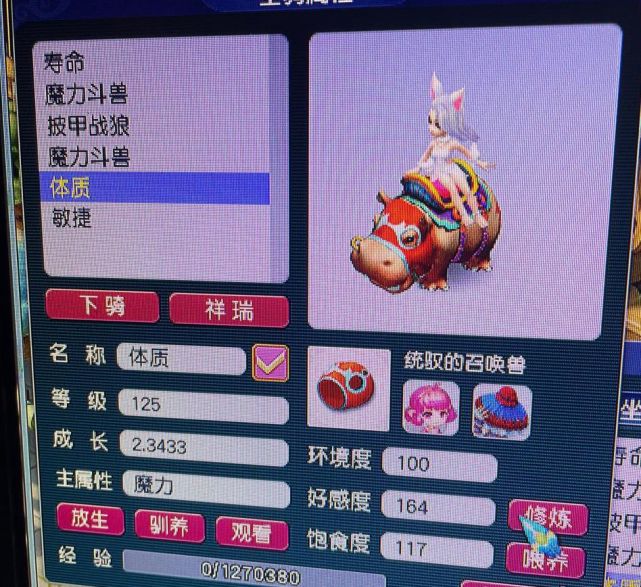 梦幻西游魔力斗兽图片图片