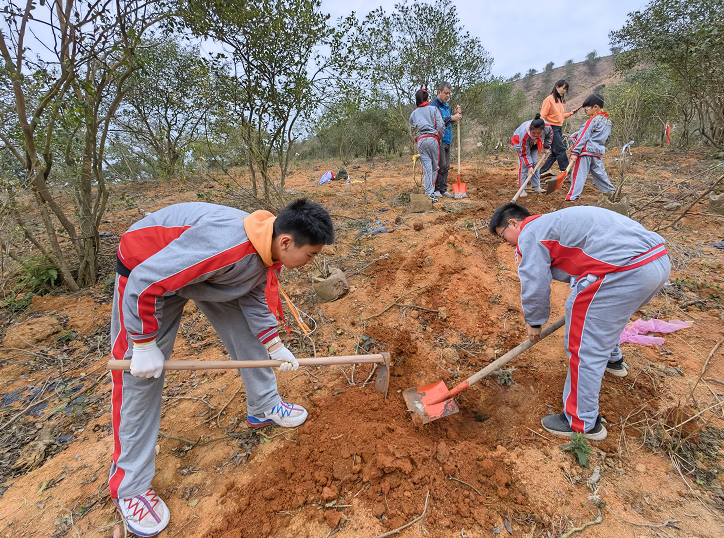 九方小学开展植树节活动