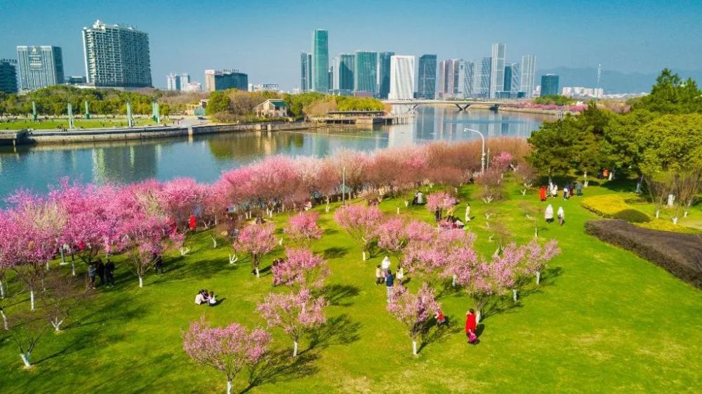 市领导带头义务植树为义乌植物园再添100余株玉兰