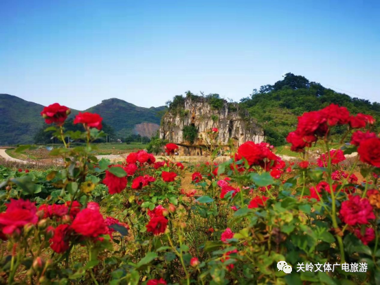 花江漫语芍药谷外接永花公路,关花大道,交通便利.