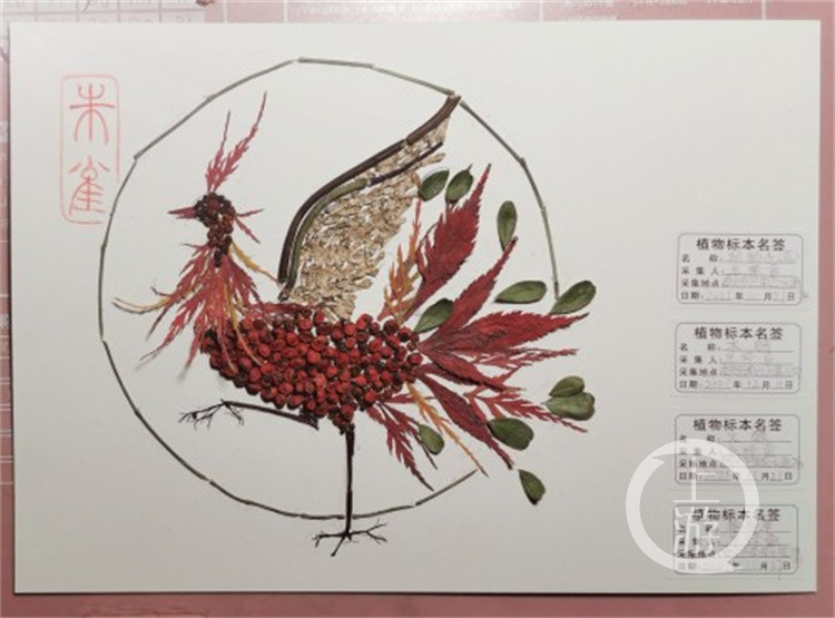 鱼池小学二年级学生牟梓童用中药火棘"绘"出了中国古代神话中的"朱雀"