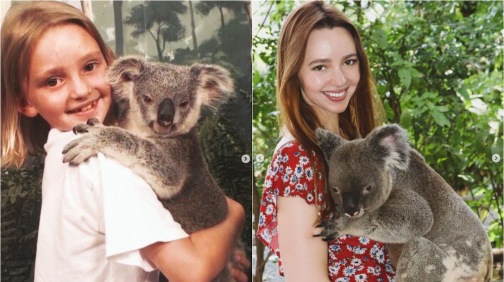 这造娃的速度也忒快了吧