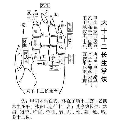 奇門遁甲中十天干的十二長生基礎知識分享