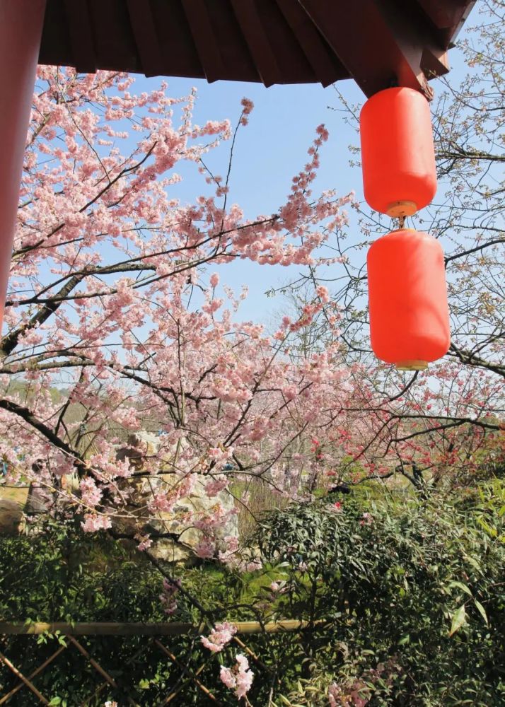 武汉堤角公园,武汉沙湖公园青山公园,汉口江滩,武汉清凉寨景区相对"