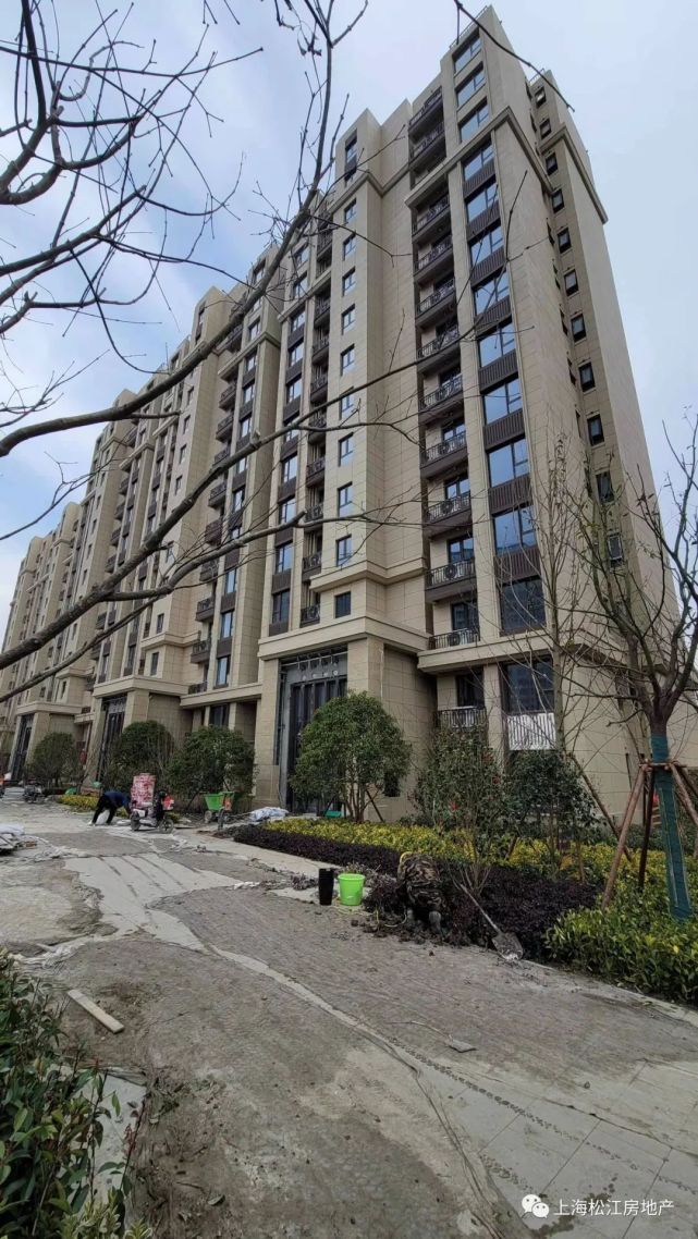 光星华府 小高层99平三房出售