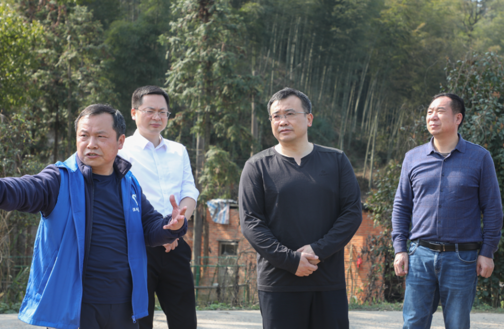 据了解,今年,桃江县计划实现造林面积5.