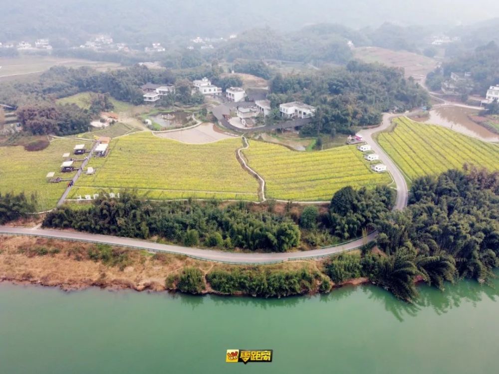 置身花海隨手一片都是大片長寧門票:免費地址:長寧縣竹海鎮永江村看了