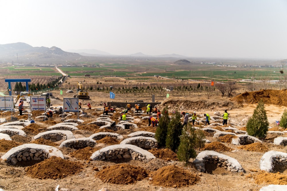 石头山咋种树?邹城巧建鱼鳞坑绿化荒山_腾讯新闻