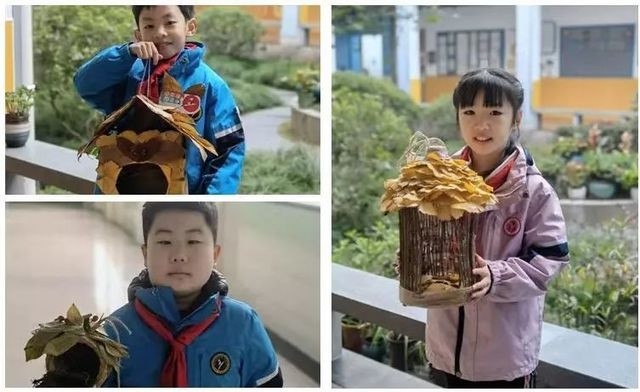 杭州小学生向全体市民发出倡议——为保护气候、保护环境添一分力小猪佩奇英语绘本制作