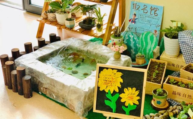 幼兒園春季植物角環創|幼兒園|自然角