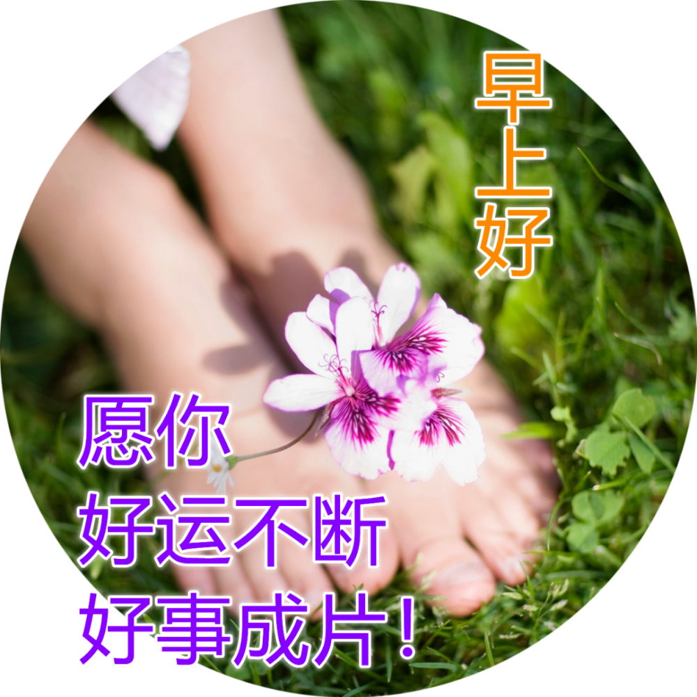 8张最美春日风景早安图片带字带祝福语 春天早上好问候祝福图片带字
