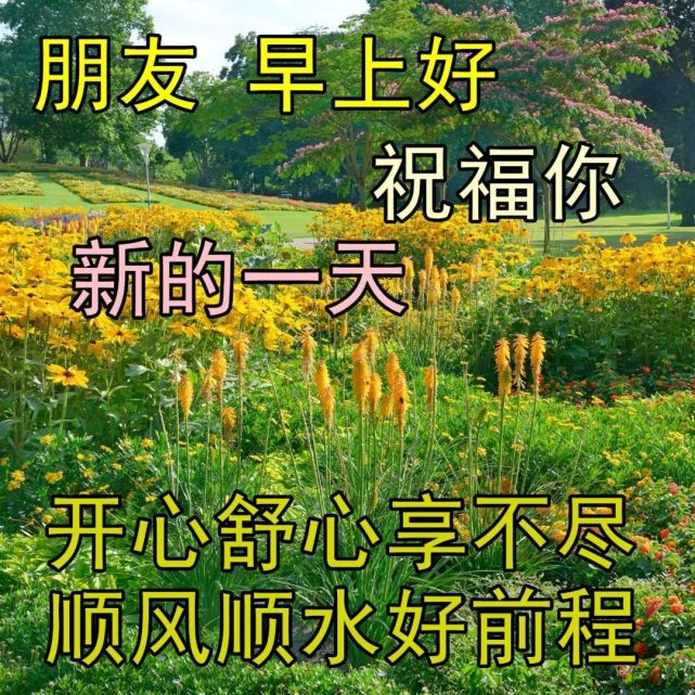 早上好祝福图片送朋友 美好的清晨祝福动态表情包