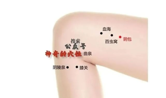 2个穴位,活血化瘀,效果太好,还不用花钱,就藏在大腿内侧