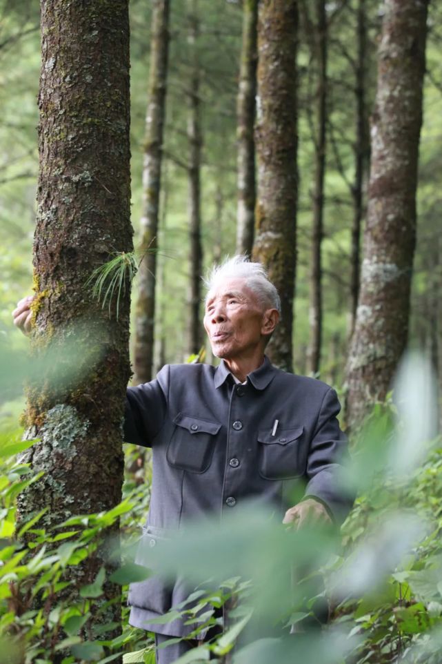 杨善洲 于光明 摄1988年原保山地委书记杨善洲退休后义无反顾扎根大亮