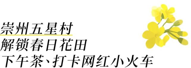 帶上孩子,和陽光,青草,花花一起在田野自由生長.