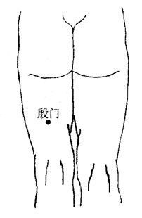 一针见效的针灸穴位之 急性腰扭伤主穴 殷门穴