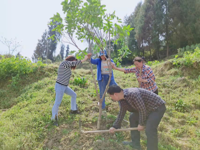 諸佛鄉大同鎮萬足鎮龍溪鎮鹿角鎮鬱山鎮靛水街道3月12日是植樹節,為了