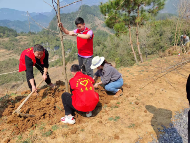 桐樓鄉雙龍鄉走馬鄉諸佛鄉大同鎮萬足鎮龍溪鎮鹿角鎮鬱山鎮靛水街道3