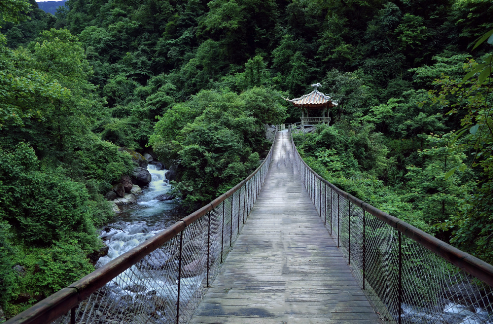 高嶺峽川轎頂山丨金口河大峽谷丨黑竹溝丨沐川竹海4日自駕