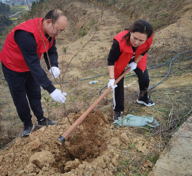 邵阳县民政局开展义务植树活动