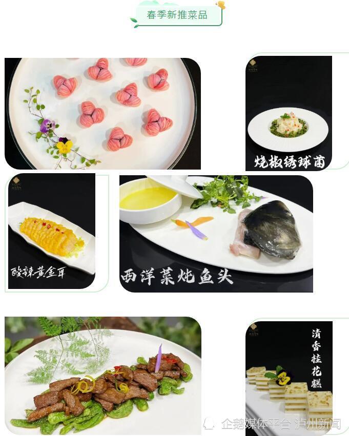 开野菜店的经历怎么写(开野菜店的经历怎么写好)