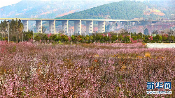 昆明嵩明瞰春色无边赏桃花烂漫