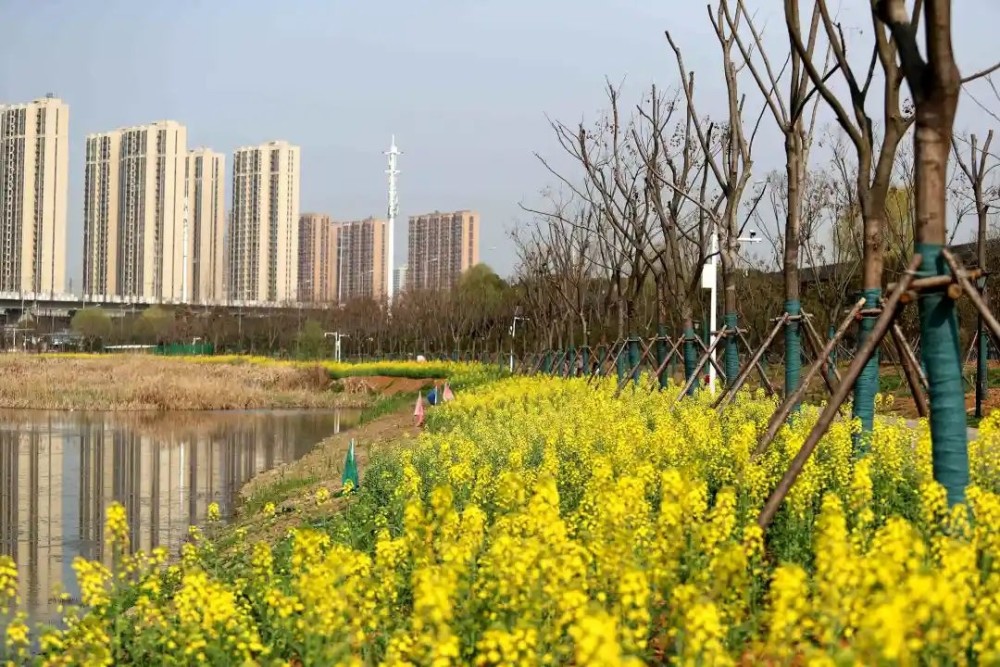 藏不住了就在杨春湖畔